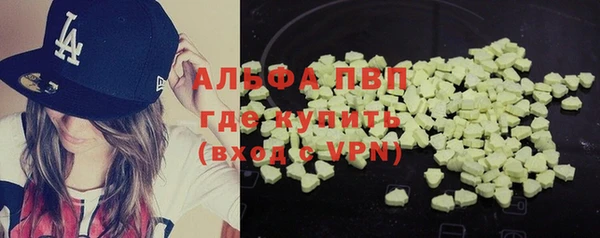ECSTASY Костерёво