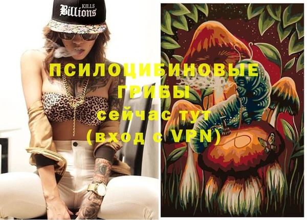 тгк Кодинск